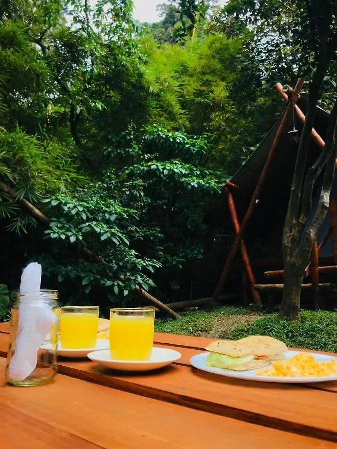 Bambu Glamping Ecolodge Medellin