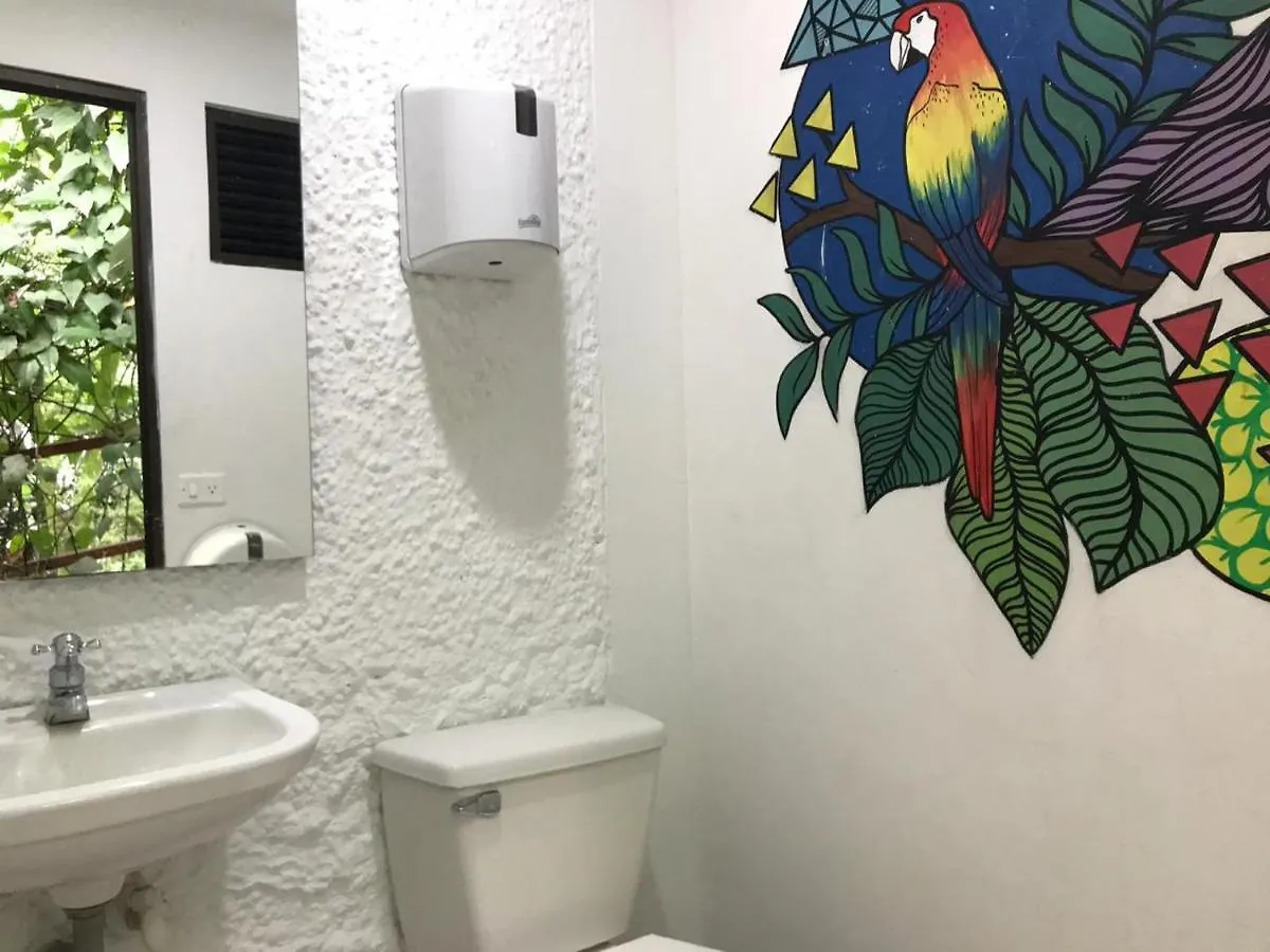 Lodge Bambu Glamping Ecolodge Medellin