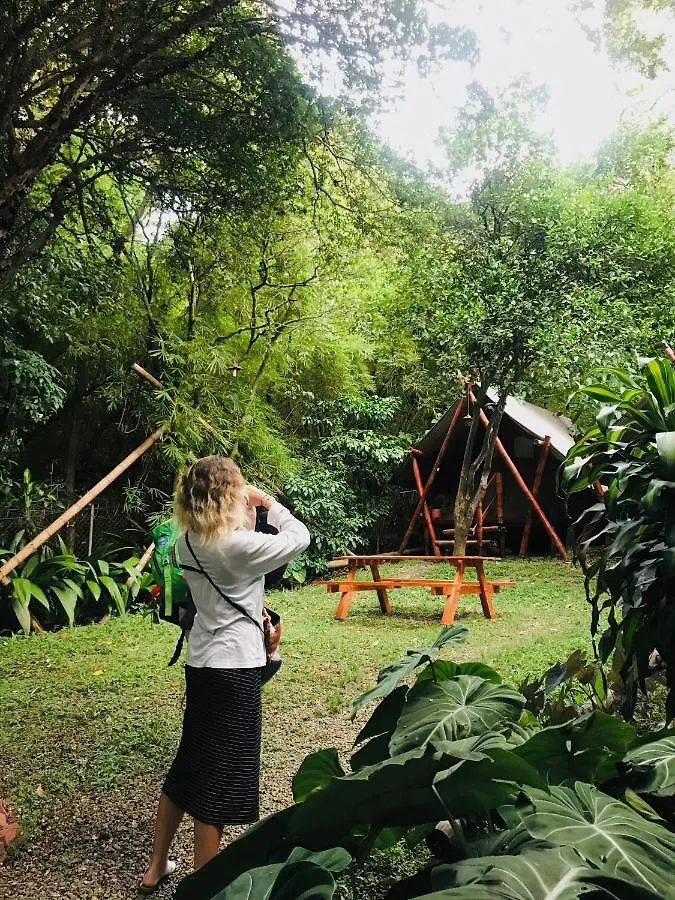 Bambu Glamping Ecolodge Medellin Colombia